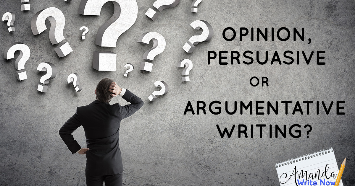 argumentative vs opinion essay