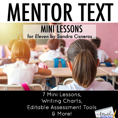 Mentor Text Mini Lessons