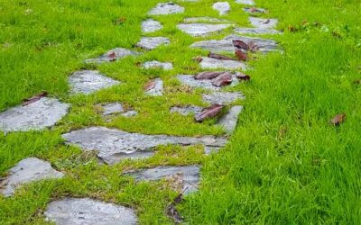 Key Takeaways from the Mindfulness and Meditation Series for Educators