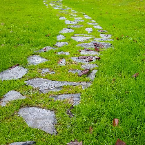 Key Takeaways from the Mindfulness and Meditation Series for Educators