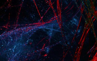 AI Is An Alien Among Us–Not Good or Bad, It’s How We Use It That Matters