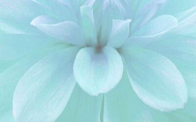 How to Teach Collaborative Problem Solving Skills