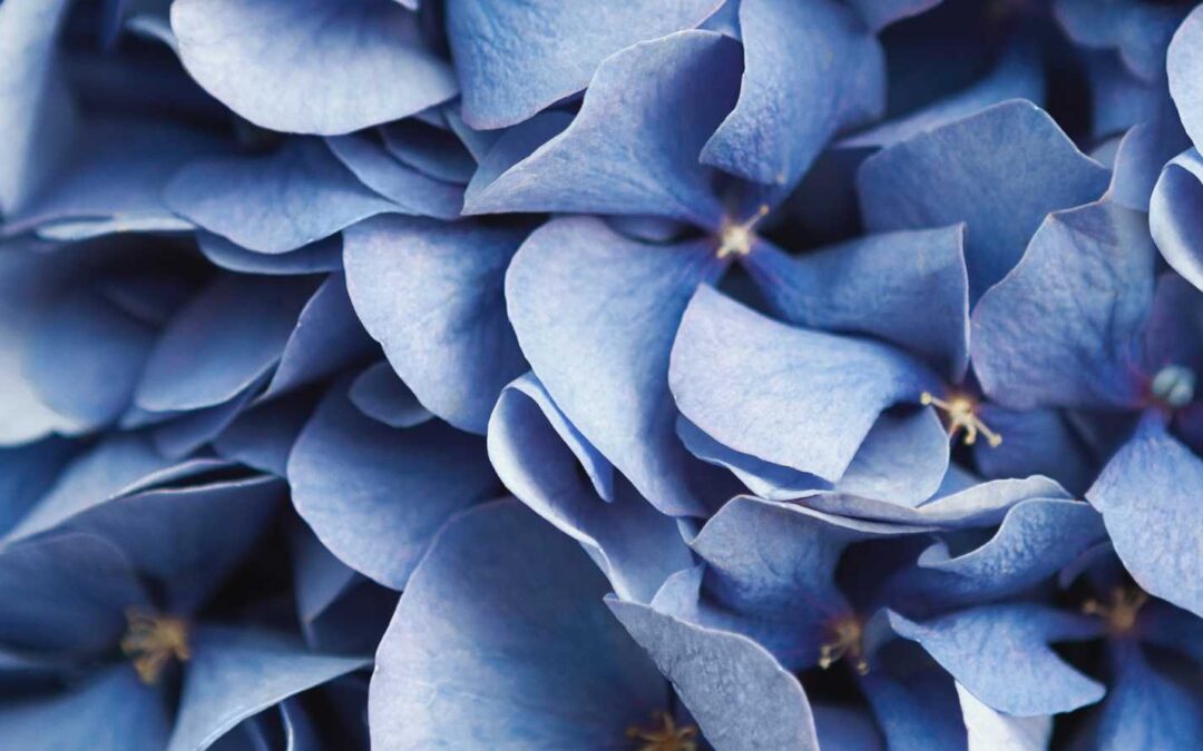 Paradoxical AuDHD: A Poem About Contradictions, Overwhelm, and Self Understanding