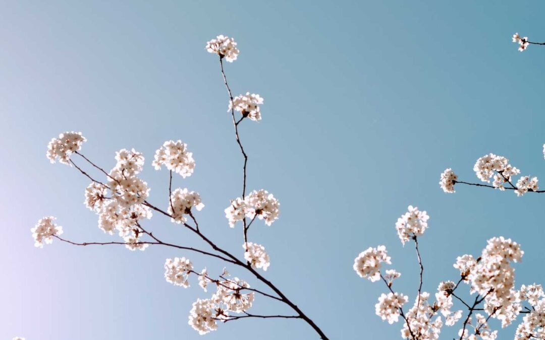 What Made Me Suspect I’m Autistic: A Teacher’s Adult Diagnosis Story and Classroom Takeaways